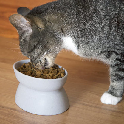 Kitty City Elevated Cat Bowls (Set of 2), Whisker-Friendly Raised Cat Food & Water Dishes, Modern Pedestal Design, Dishwasher Safe, 6.5 Oz Each – White & Gray3