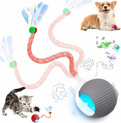 2 Packs Speed 2.0 Tail Interactive Cat Toys for Indoor Cats, Chirping & Motion Activate Cat Toy, Smart Kitten Rolling Ball Moving Ball Toys, Rechargeable Dog Cats Bal L for Enrichment Exercise22