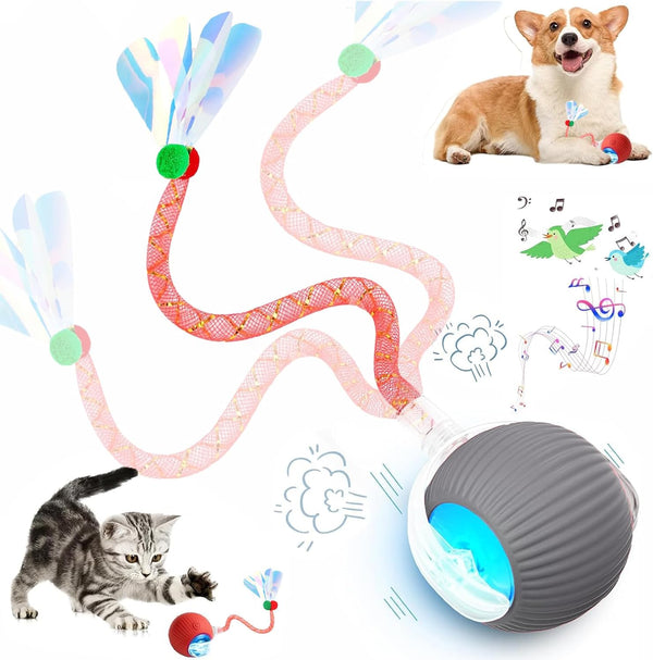 2 Packs Speed 2.0 Tail Interactive Cat Toys for Indoor Cats, Chirping & Motion Activate Cat Toy, Smart Kitten Rolling Ball Moving Ball Toys, Rechargeable Dog Cats Bal L for Enrichment Exercise22