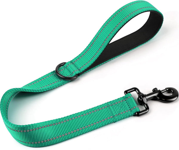 Joytale Short Dog Leash for Close Control & Training, 18", Black | Padded Comfort Handle, Reinforced Nylon Webbing, Secure Metal Clip, for Busy Streets & Heel Training20