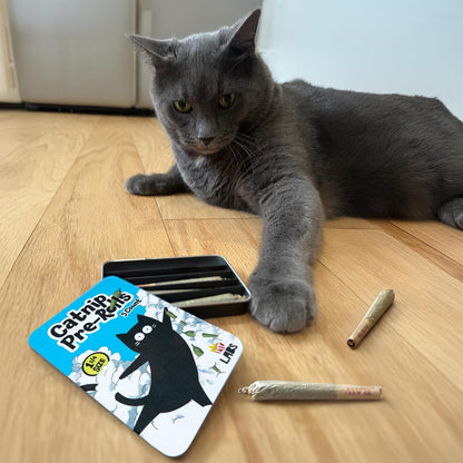 LIT LABS Catnip Joint - 5 Organic Pre-Rolls Papers to Fix a Bad Cattitude - Funny Cat Toy for Indoor Cats with Existential Dread8