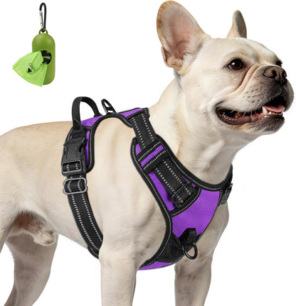 Joytale No Pull Dog Harness Medium Sized Dog, Front Clip, Black | Grab Handle for Instant Control, Padded & Adjustable Vest, Sturdy Metal D-Rings, for Safe Training & Daily Walking25