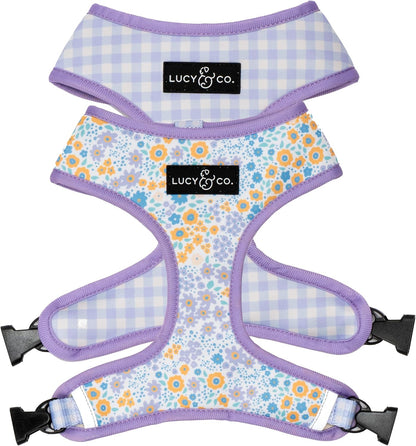 Lucy & Co. Reversible Dog Harness - Water-Repellent Neoprene, Dual-Print Design, Easy Swap Style, Adjustable Comfort Fit - Take a Bow Reversible Harness - Small18