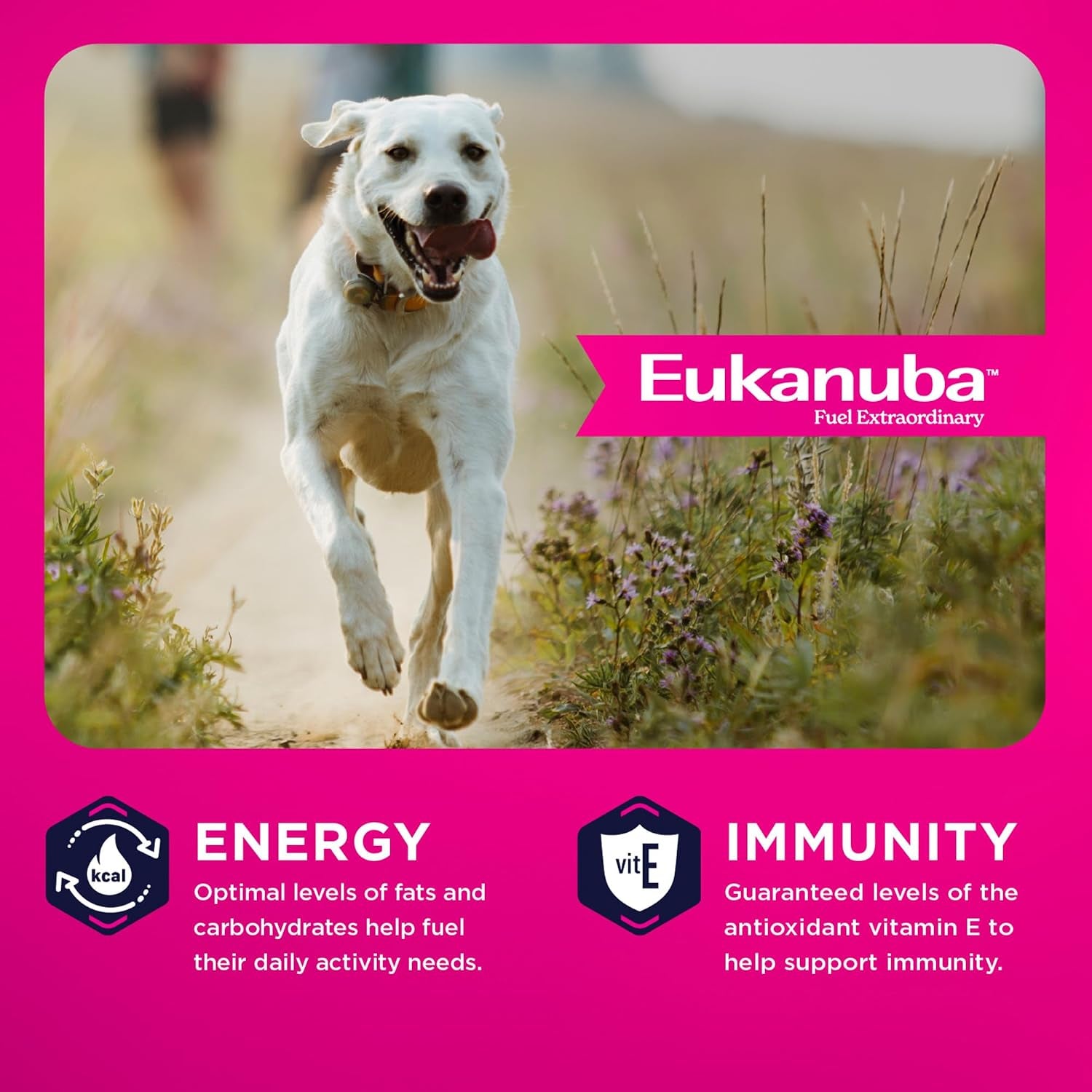eukanuba-adult-large-breed-dry-dog-food-40-lb-bag