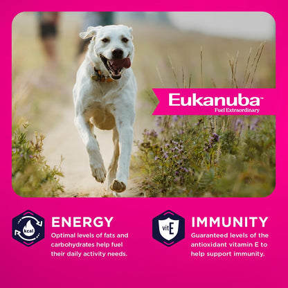 Eukanuba Adult Large Breed Dry Dog Food, 40 Lb Bag6