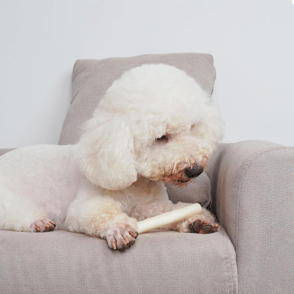 MON2SUN Dog Treats, 6Inch Natural Flavor Rawhide Rolls, 22.58 Oz | 40 Count, Long-Lasting Chew, Teeth Cleaning, No Artificial Colors，Suitable for Puppy and Small Dogs4
