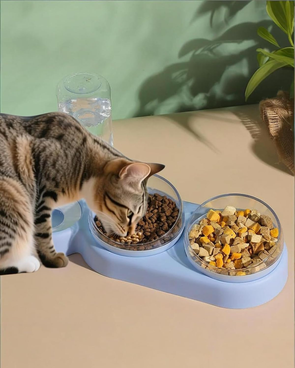 cat-bowls-set-3-in-1-15-tilt-water-feeder-bowls-cat-double-food-bowls-with-500ml-dispensing-bottle-for-small-medium-pets-lightweight-easy-to-clean