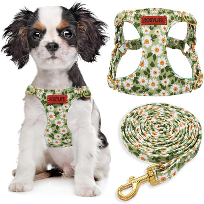 No Pull Dog Harness & Leash Set, Adjustable Xx-Small, Pink Daisy, Fashionable, Cute, Stylish, Escape Proof, Includes Leash9