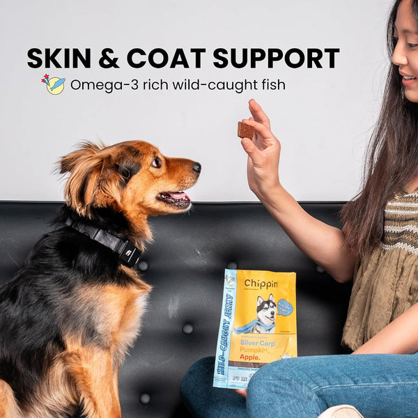 Fish Dog Treats for Skin & Coat, Healthy Soft Chews with Real Pumpkin, Grain Free, Easy to Digest for Training or Rewards for Small, Large Dogs, Natural Ingredients for Sensitive Stomach, Made in USA3