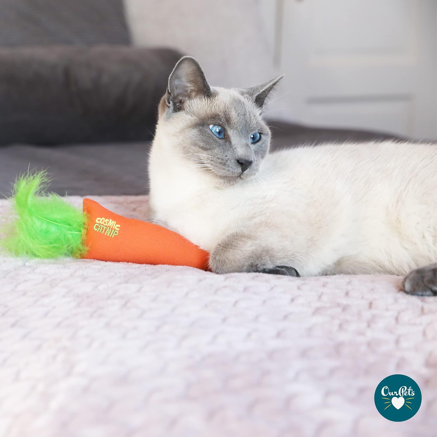 ourpets-100-percent-north-american-catnip-filled-carrot-cat-toy-24-karat