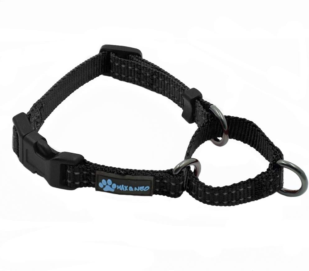 max-and-neo-nylon-martingale-collar-we-donate-to-a-dog-rescue-for-every-collar-sold-medium-orange