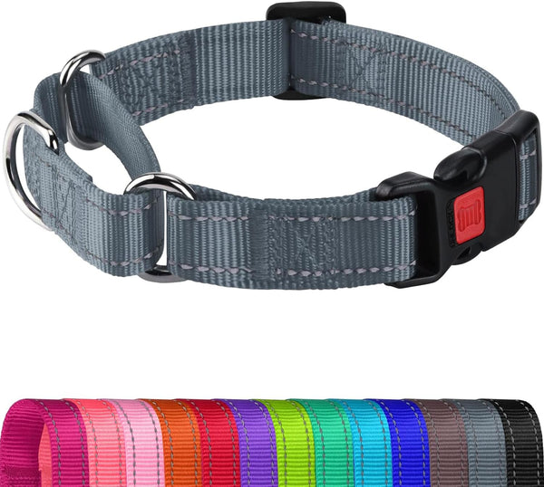 Joytale Martingale Collar for Dogs, Escape Proof No Pull, Hotpink, M | Gentle Cinch Stops Pulling without Choking, Safety Lock Buckle, Reflective Stitching for Night Walks, Soft Nylon17