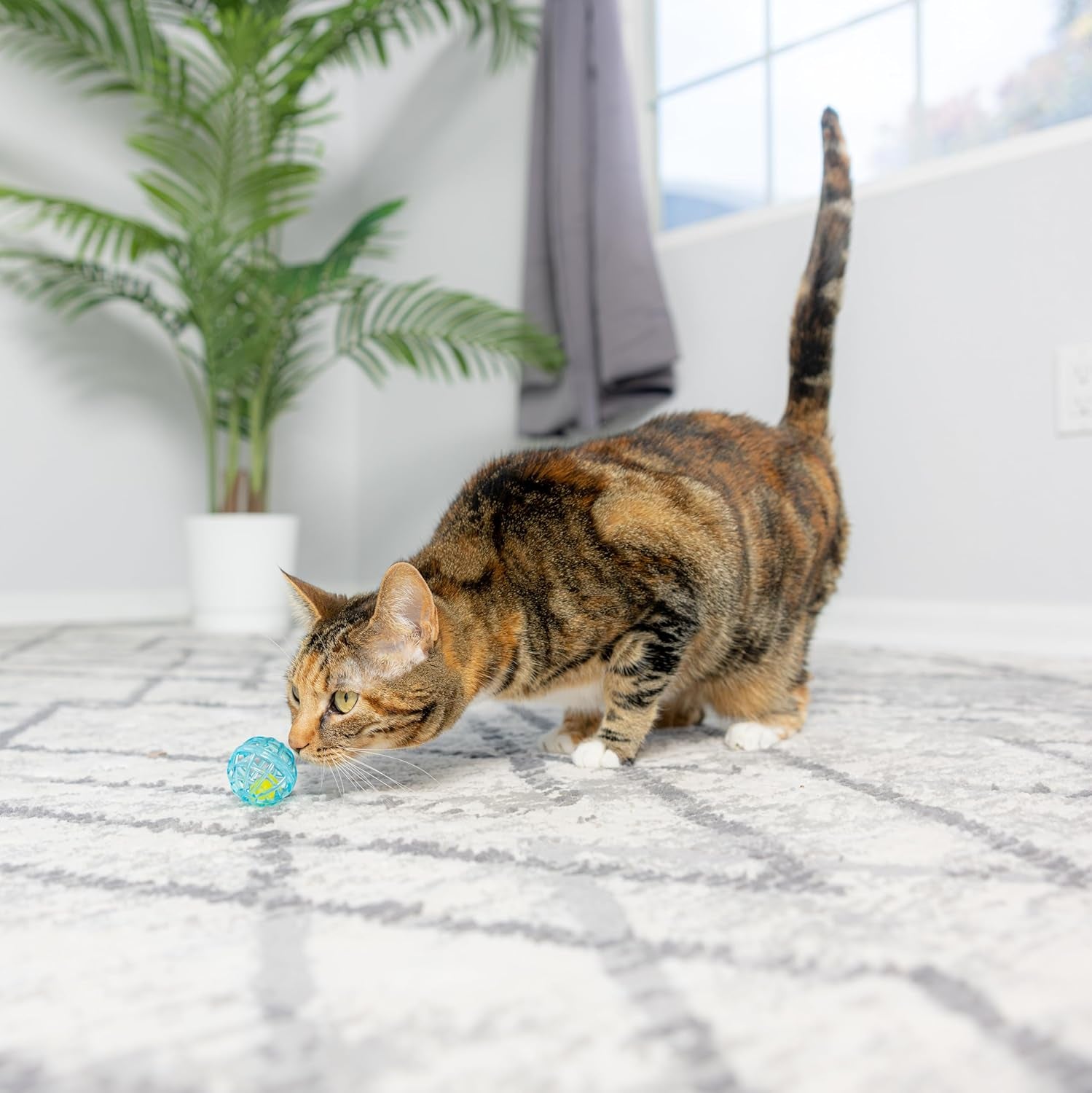 spot-lattice-balls-cat-toys-durable-fun-balls-with-bells-perfect-for-swatting-and-batting-colorful-toys-to-entertain-indoor-cats-and-kittens-1-5-inch-4-pcs