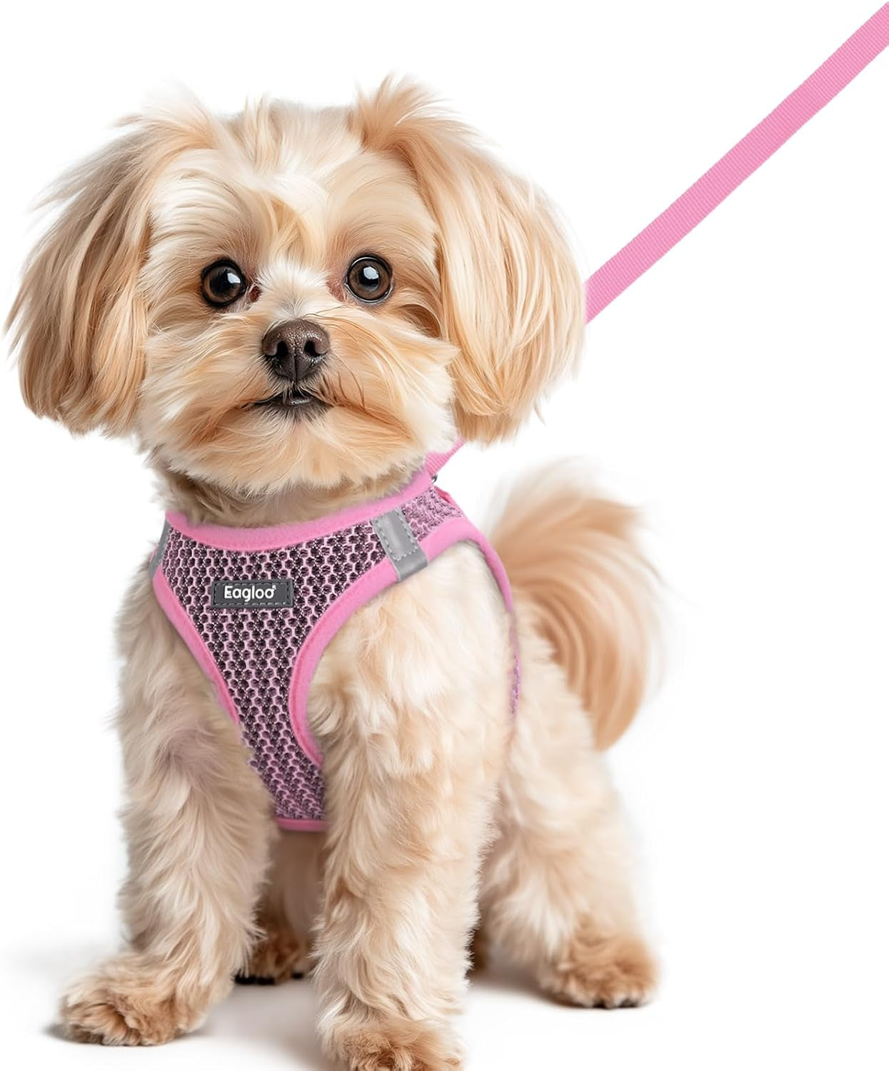 eagloo-small-dog-harness-and-leash-set-step-in-small-sized-puppy-pet-vest-light-soft-breathable-air-mesh-easy-on-and-off-with-hook-loop-reflective-for-safe-walking-pink-s