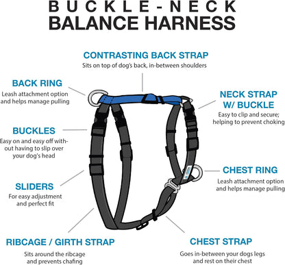Blue-9 Buckle-Neck Balance Harness, Fully Customizable Fit No-Pull Harness, Ideal for Dog Training and Obedience, Made in the USA, Sky Blue, Medium2