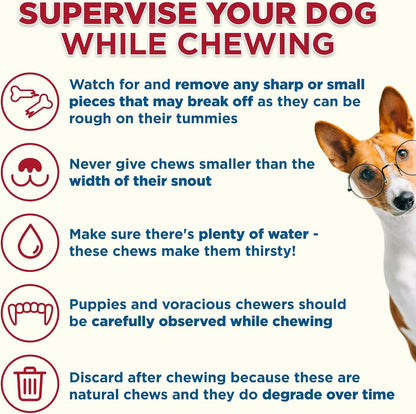 Best Bully Sticks Marrow Bones for Dogs, Large, 3 Count | Natural Beef Flavor, High Protein Dog Chews, Dog Bones for Aggressive Chewers, Single Ingredient, Great for Large Breeds5