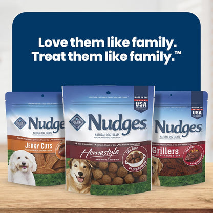 Blue Buffalo Nudges Beef & Rice Homestyle Natural Dog Treats, Meatball-Inspired Recipe, Healthy Reward or Training Treat, Made in the USA with Real Beef, No Artificial Preservatives, 16 Oz.9