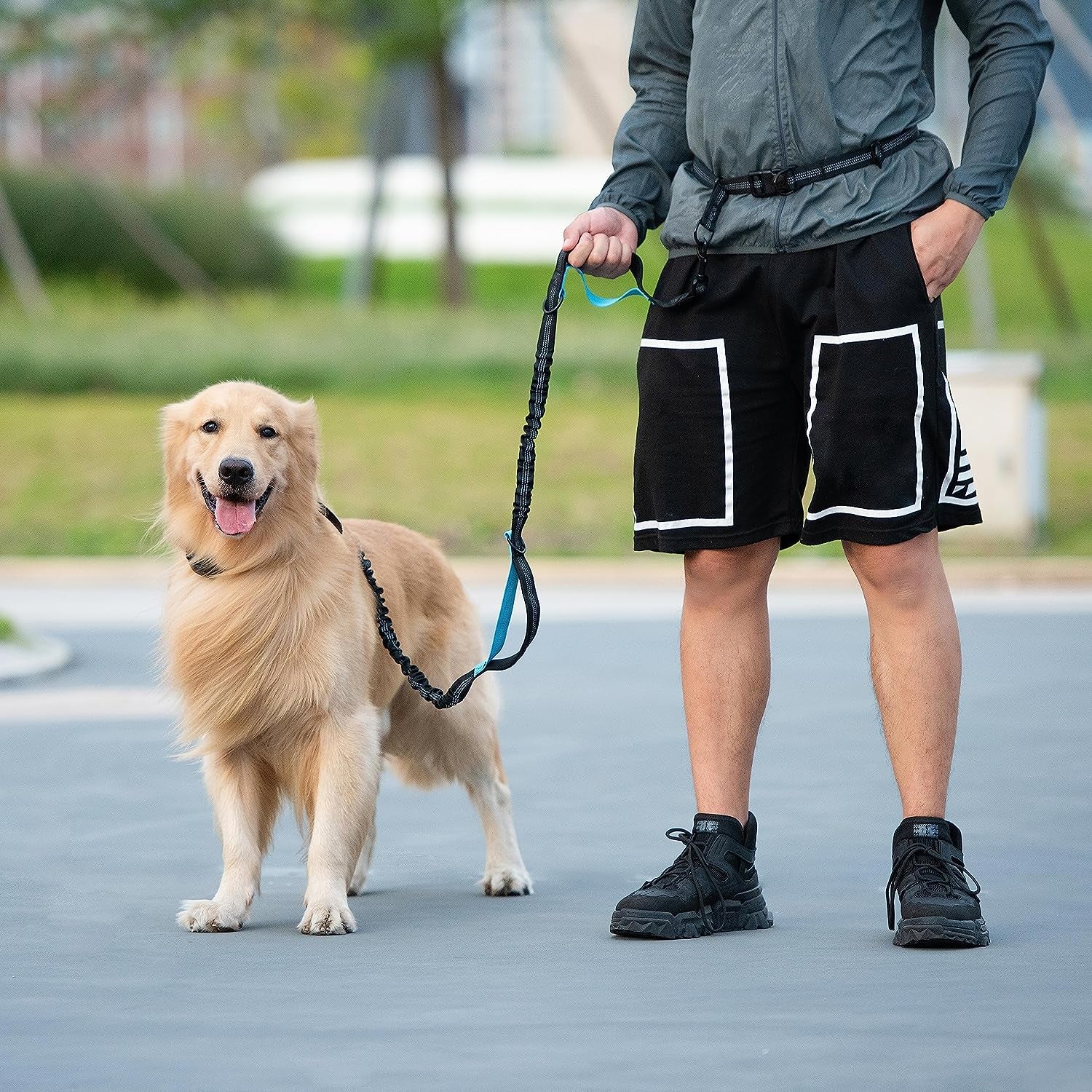 iyoshop-hands-free-dog-leash-with-zipper-pouch-dual-padded-handles-and-durable-bungee-for-walking-jogging-and-running-your-dog-large-25-120-lbs-black