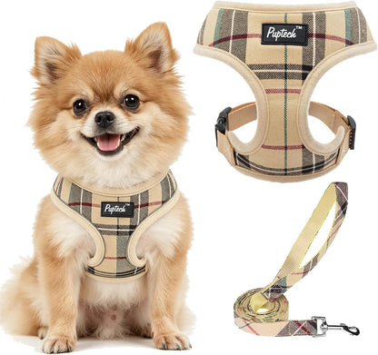 PUPTECK Soft Mesh Dog Harness Small Sized and Leash Set Pet Puppy Cat Comfort Padded Vest No Pull Harnesses, Beige, S1