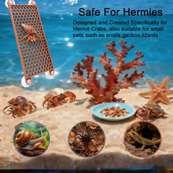 Hermit Crab Climbing Toy, Reptile Habitat Decor Exercise Playground Hermit Crab Accessories for Tank and Aquarium Decoration (Brown)5