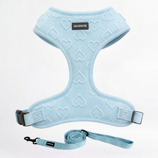 No Pull Harness & Leash Set for Small Sized Dogs, Soft Padded Breathable Neoprene Harnesses, Lightweight Adjustable Step-In Vest with Cute Heart Print & Secure Back D-Ring, Neck 13-17", Chest 16-21"8