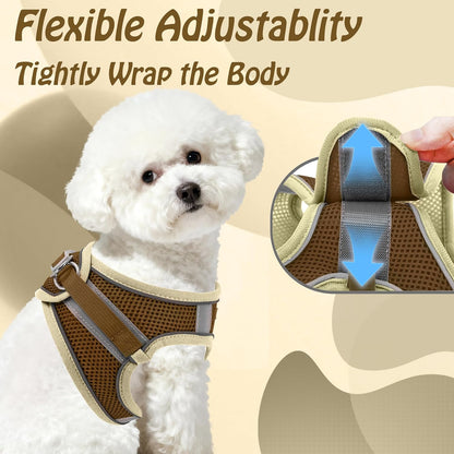 AIITLE No Pull Dog Harness and Leash Set, Step in Adjustable Dog Harness with Padded Vest for All Weather, Dog Leash with Soft Padded Handle, Easy to Put on Small and Medium Dogs Beige S4