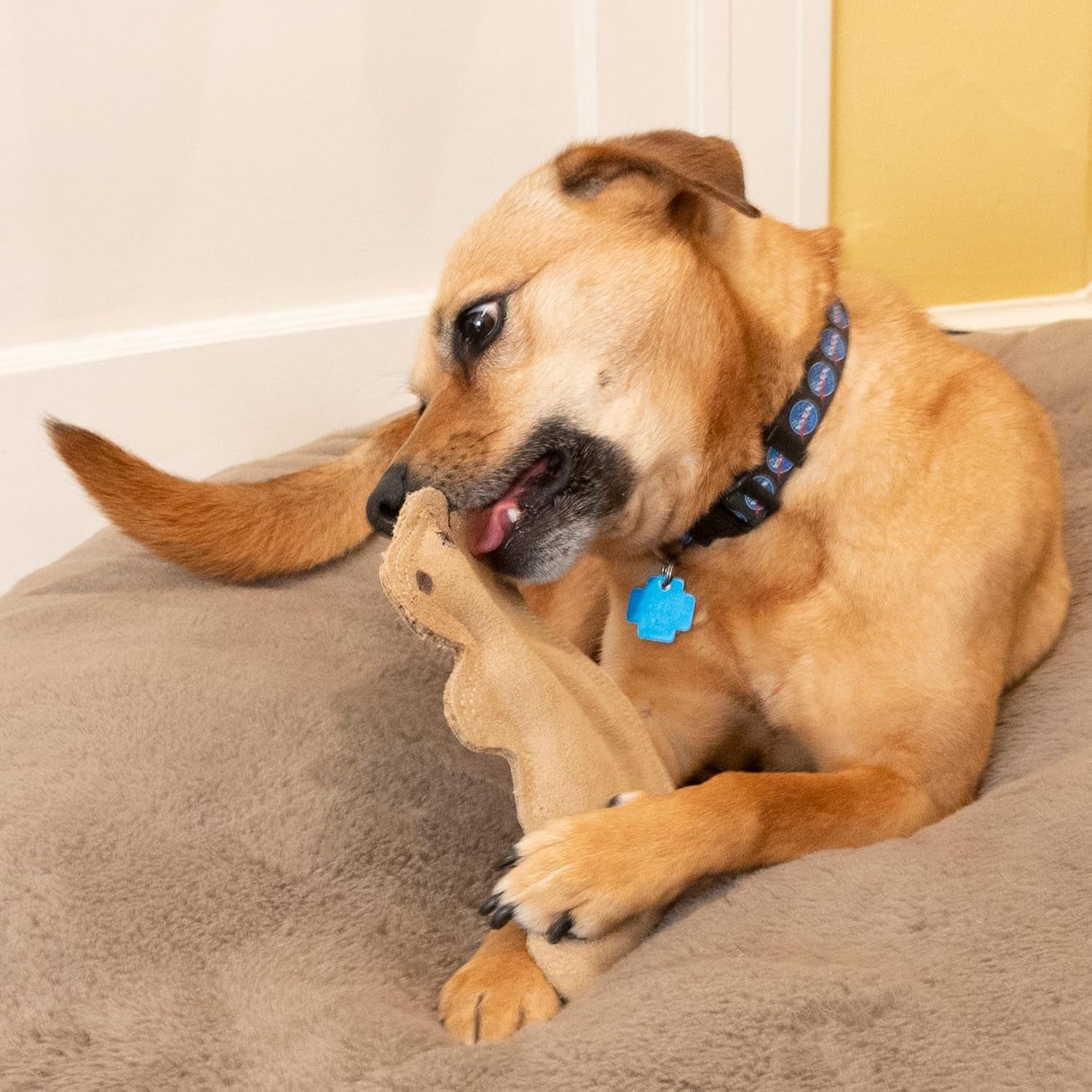 spot-dura-fused-leather-squirrel-dog-toy-real-leather-jute-fabric-double-stitched-durable-soft-stuffed-squeaky-interactive-chew-toy-for-moderate-chewers-small-medium-dogs-8in