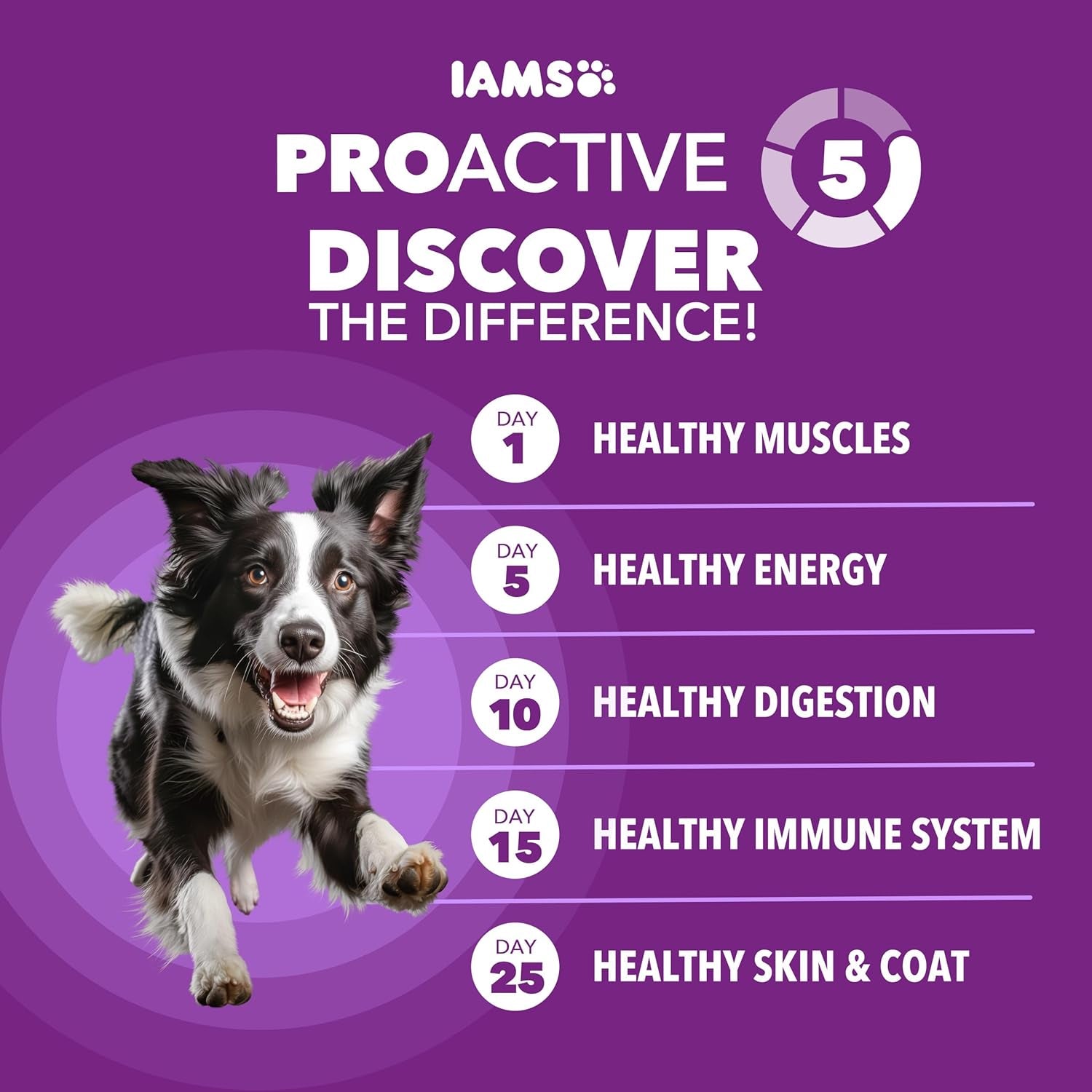 iams-advanced-health-skin-coat-dry-dog-food-chicken-salmon-27-lb-vet-recommended-omega-6-3-fatty-acids-zinc-vitamin-e-real-chicken-1-ingredient-real-salmon-no-artificial-flavors