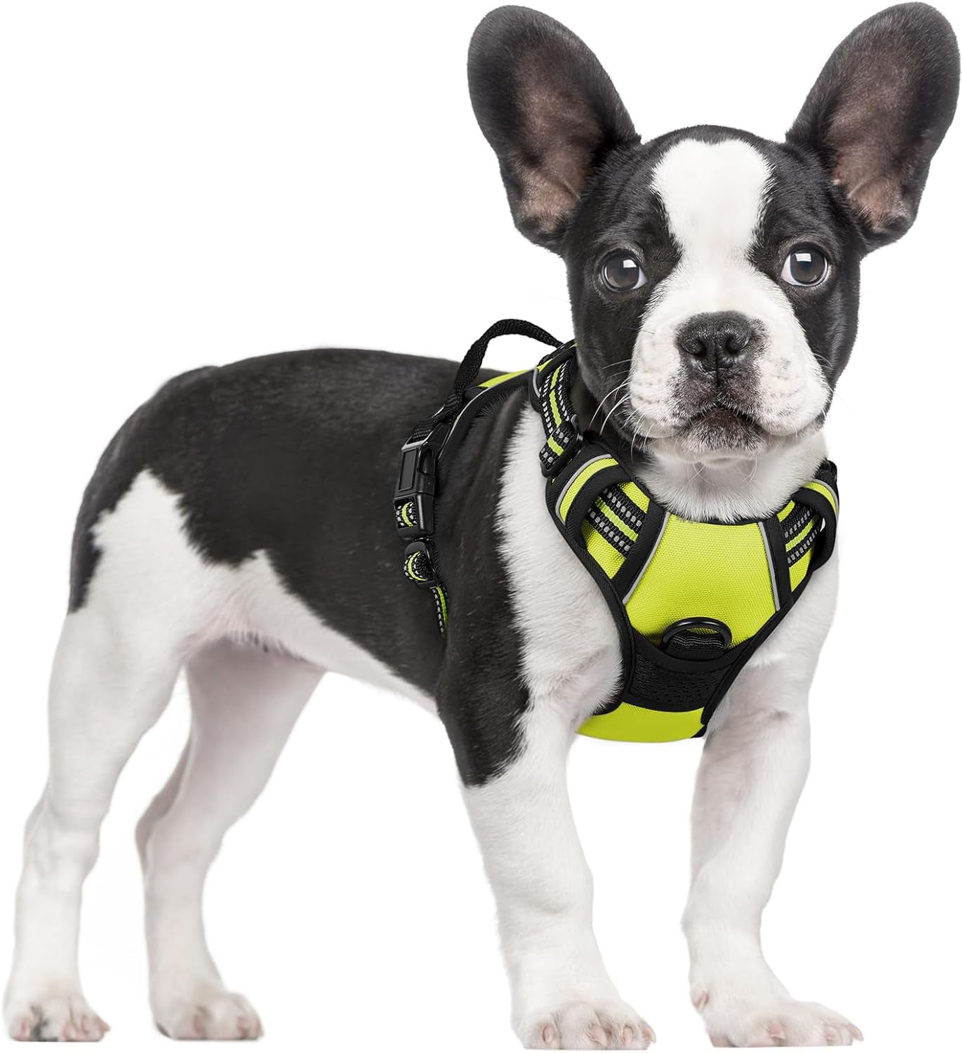 rabbitgoo-dog-harness-no-pull-for-large-dogs-with-2-leash-clips-pet-vest-no-choke-with-handle-adjustable-soft-padded-reflective-easy-control-for-walking-black-large