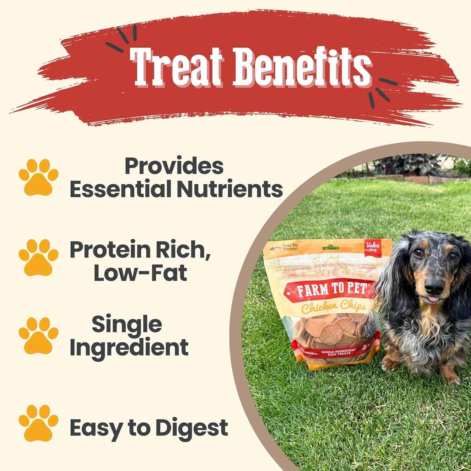 farm-to-pet-dog-training-treats-chicken-chips-single-ingredient-12-oz-lean-all-natural-healthy-dog-treats-for-small-medium-large-breeds-puppies-made-in-usa
