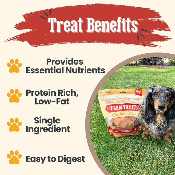 Farm to Pet - Dog Training Treats - Chicken Chips, Single Ingredient - 12 Oz, Lean, All Natural, Healthy Dog Treats for Small, Medium, Large Breeds, & Puppies, Made in USA4