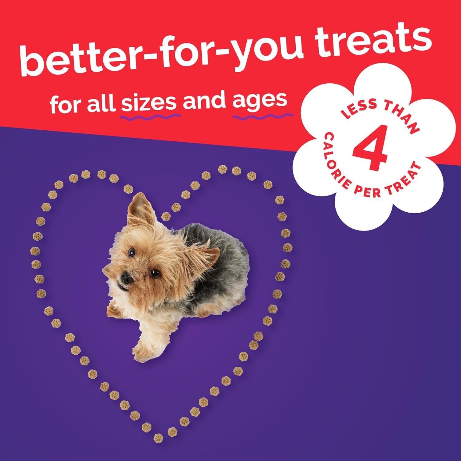 fruitables-skinny-mini-dog-treats-training-treats-bacon-apple-12oz-healthy-dog-treats-crunchy-dog-biscuits-healthy-puppy-treats-limited-ingredient-training-rewards-made-in-usa