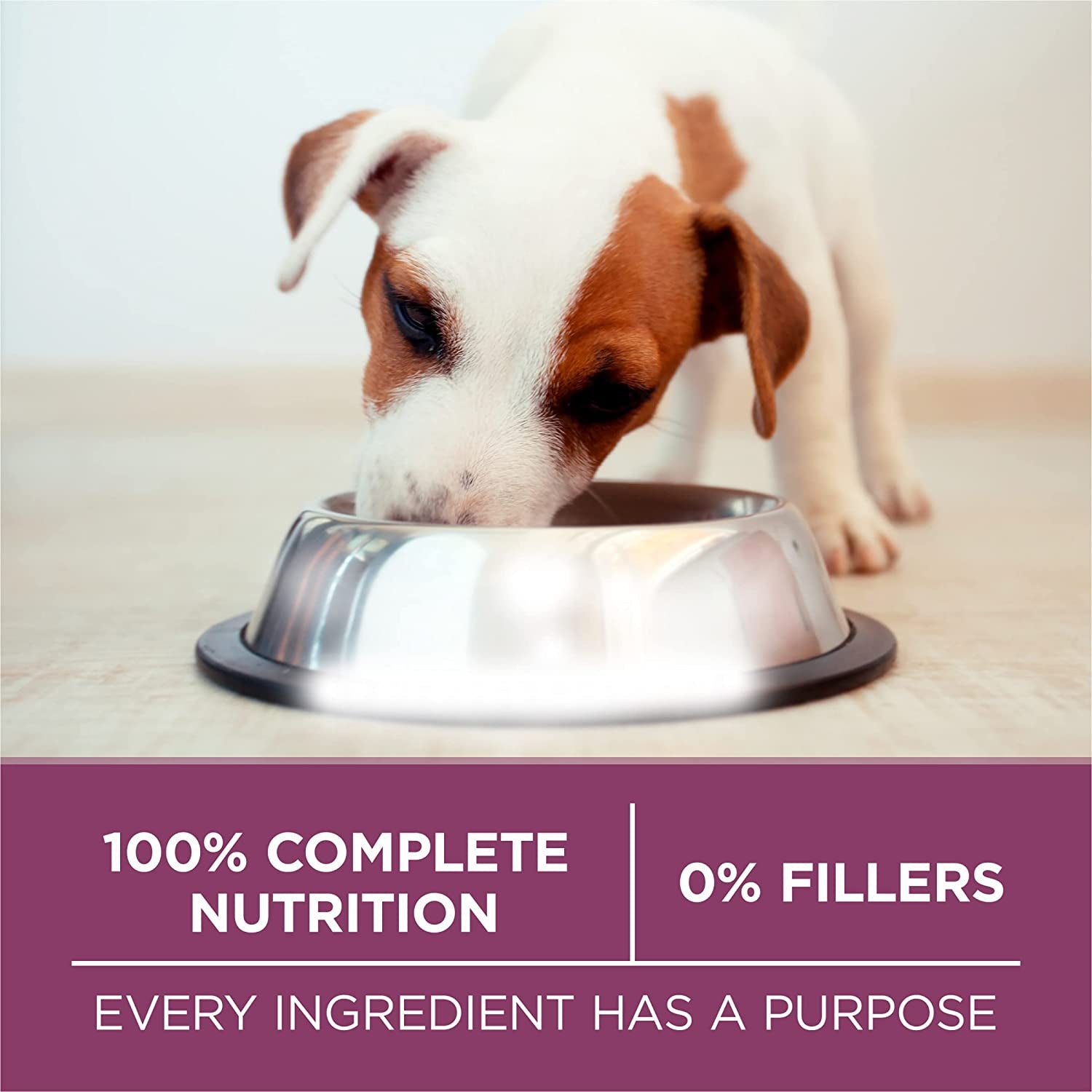 purina-one-plus-healthy-puppy-formula-high-protein-natural-dry-puppy-food-with-added-vitamins-minerals-and-nutrients-8-lb-bag