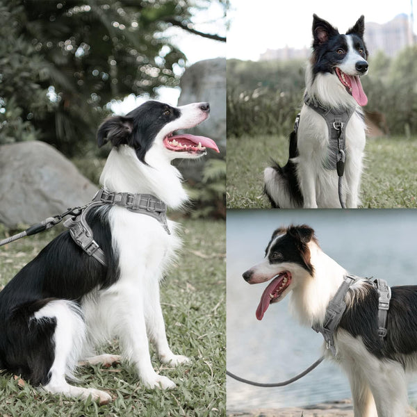 Poypet No Pull Dog Harness and 5 Feet Leash Set, Release on Neck Reflective Adjustable Pet Vest, Front & Back 2 D-Ring and Soft Padded Pet Harness with Handle for Small to Large Dogs(Grey,L)4