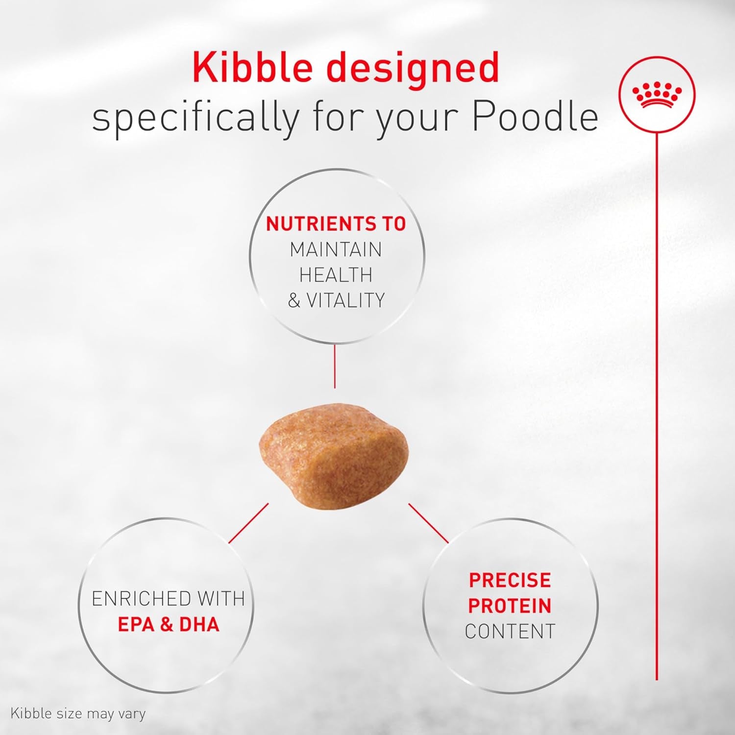 royal-canin-breed-breed-health-nutrition-poodle-adult-dry-dog-food