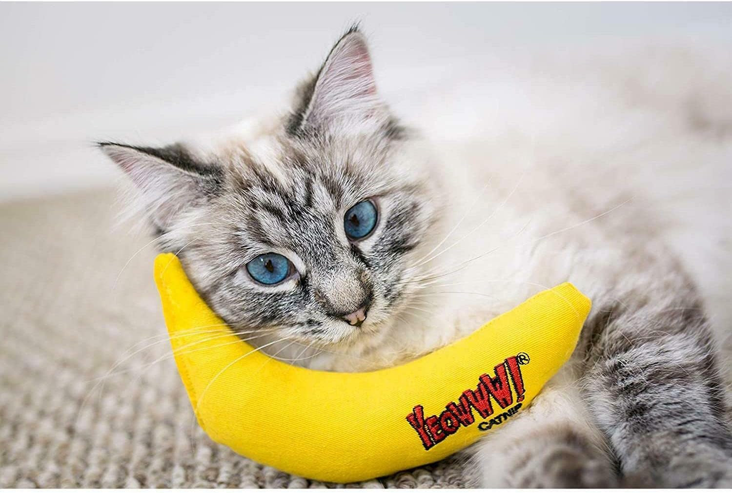 yeowww-duckyworld-100-organic-catnip-leaf-flower-cat-toy-banana-3-pack