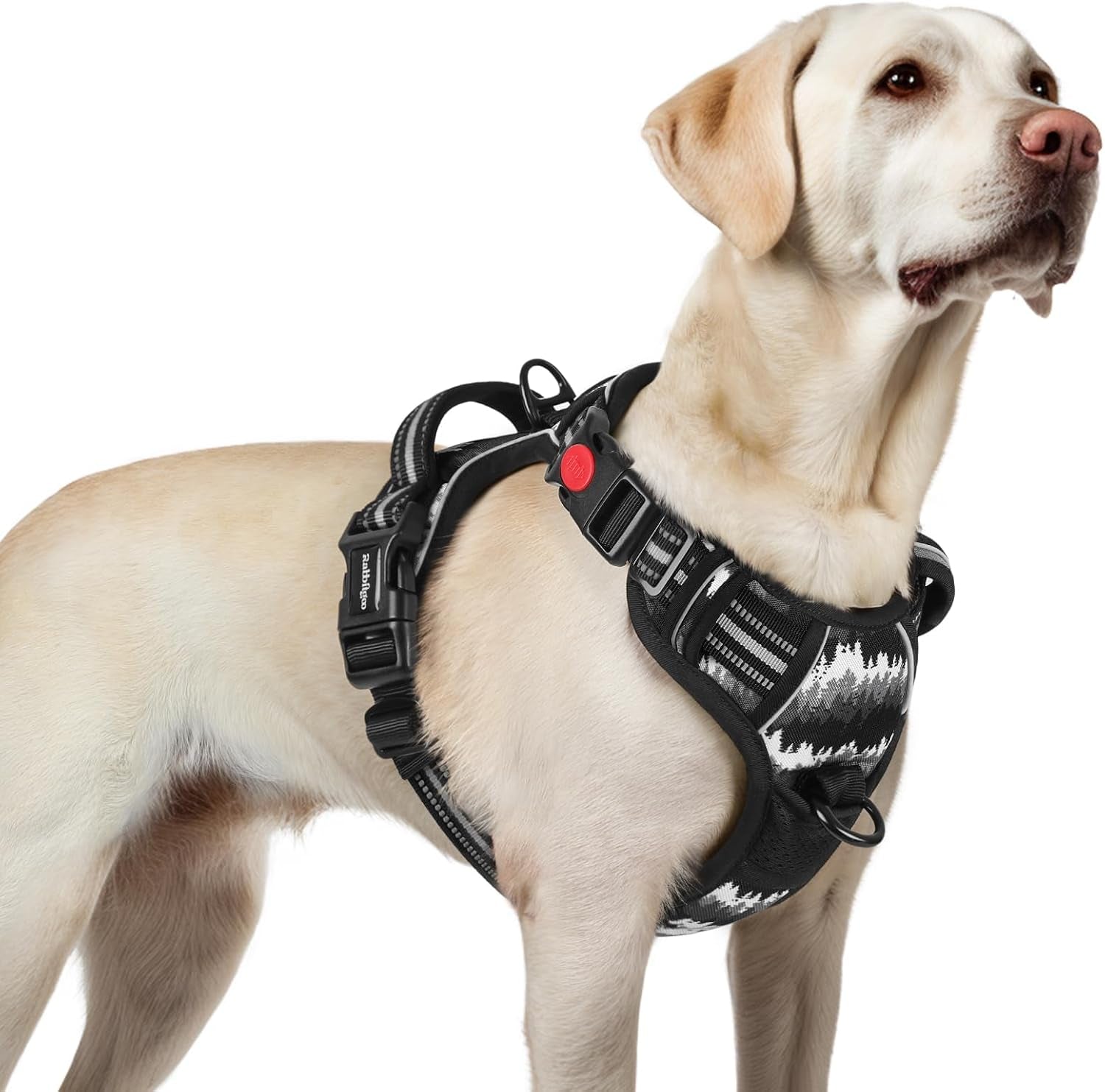 rabbitgoo-dog-harness-medium-sized-updated-easy-on-off-with-3-buckles-no-pull-no-choke-walking-with-2-clips-and-handle-adjustable-soft-reflective-blue-medium