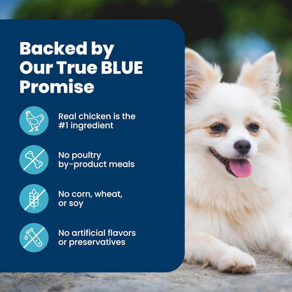 Blue Buffalo Life Protection Formula Chicken Small Senior Dog Food, 5 Lb | Real Chicken #1 Ingredient, Glucosamine & Chondroitin for Joint Health & Mobility, Antioxidant-Rich Lifesource Bits6