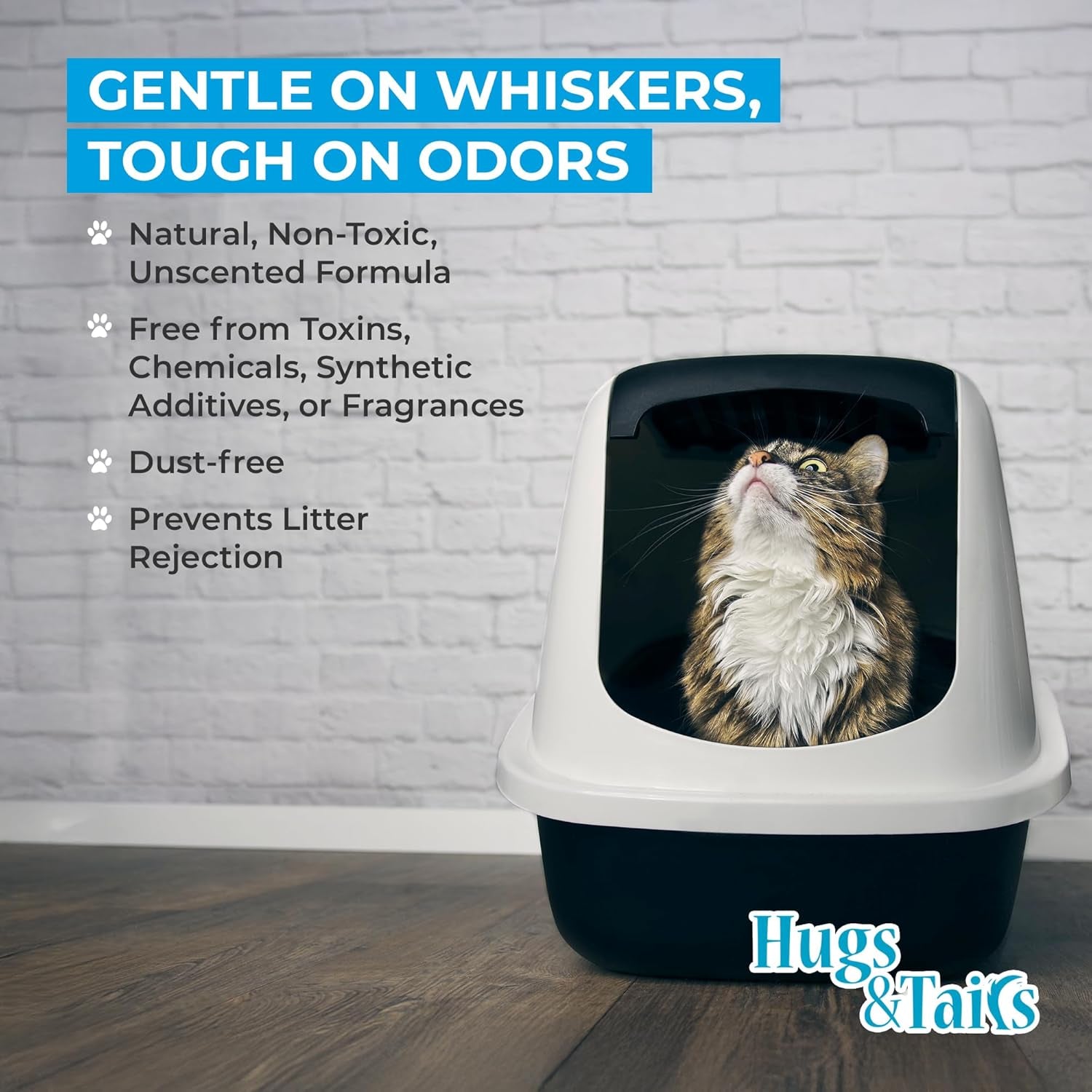 cat-litter-deodorizer-pet-safe-odor-eliminator-housebreaking-supplies-for-cats-kittens-small-pets-natural-unscented-non-toxic-low-dust-2-lbs-by-hugsandtails