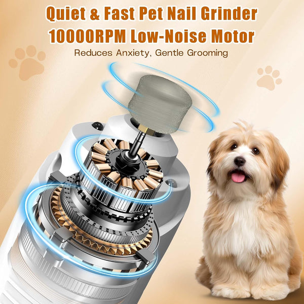 Dog Nail Grinder with 2 LED Lights, 4-Speed Pet Nail Grinder for Dogs&Cats | Kapvis Electric Dog Nail Trimmer Quiet, 2 Grinding Heads Included, Digital Display&2 LED Lights, 2.5Hr Charge for 480Min Use5