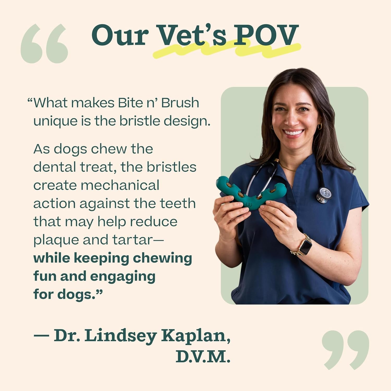 woof-bite-n-brush-dog-dental-chew-toy-for-small-dogs-10-25-lbs-dog-toothbrush-toy-v-shaped-design-reusable-easy-to-clean-dental-dog-toy
