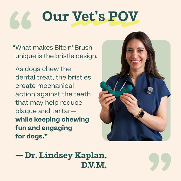 WOOF Bite N' Brush Dog Dental Chew Toy for Small Dogs 10-25 Lbs | Dog Toothbrush Toy, V-Shaped Design, Reusable, Easy to Clean, Dental Dog Toy8