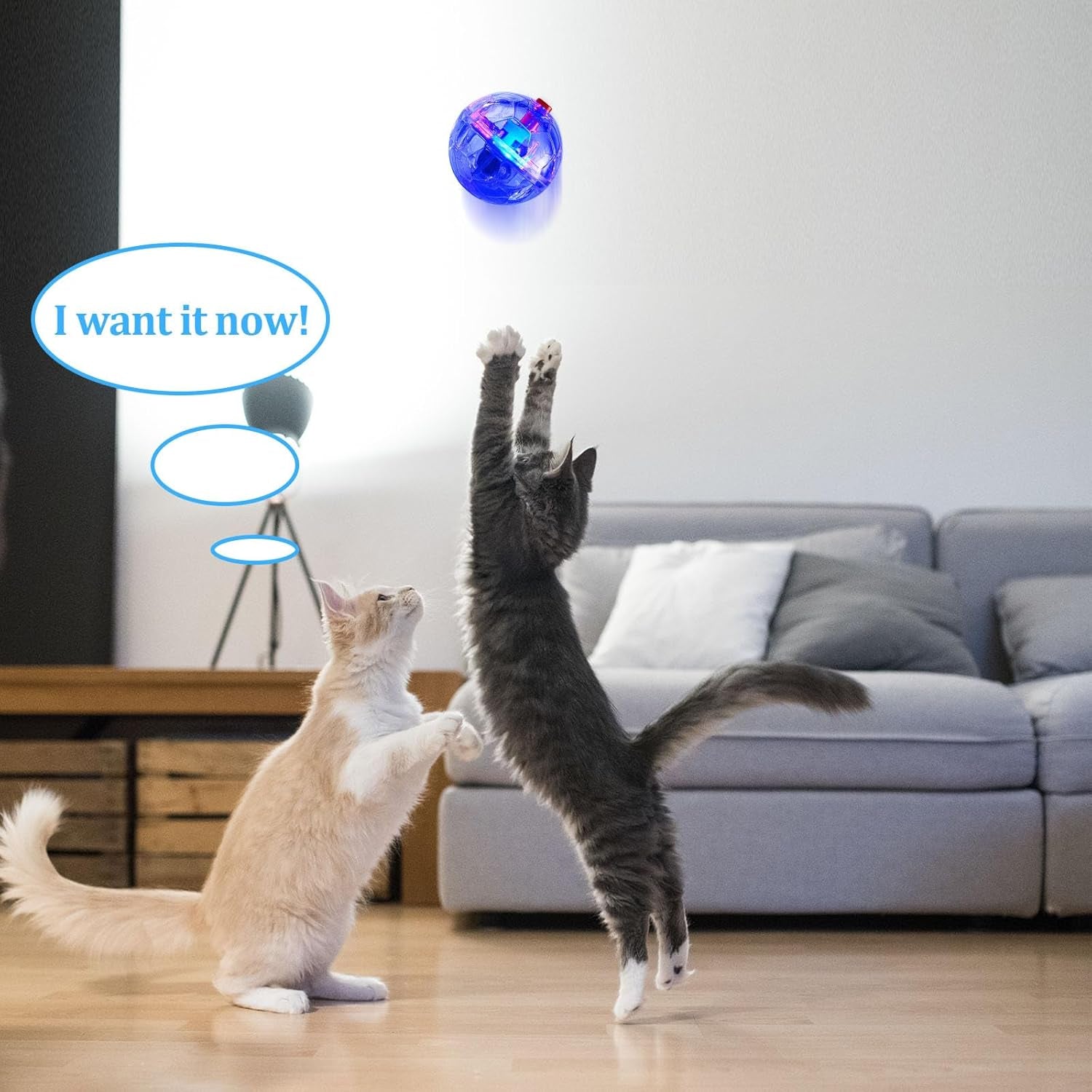 frienda-4-pcs-light-up-cat-ball-led-motion-ghost-hunting-balls-clear