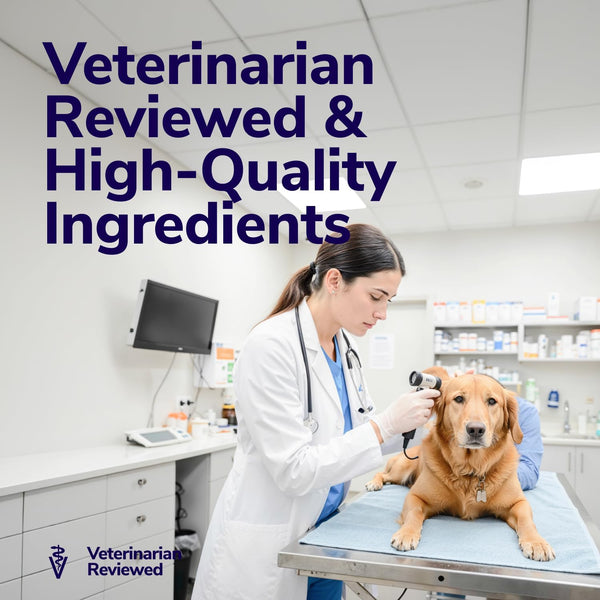 Miracle Vet Medicated Dog Shampoo for Itchy Skin Relief - Antifungal for Dog Allergy Relief, Yeast Infection, Hot Spot & Dry Skin Anti-Itch Treatment Wash - Hydrocortisone (16 Oz)9