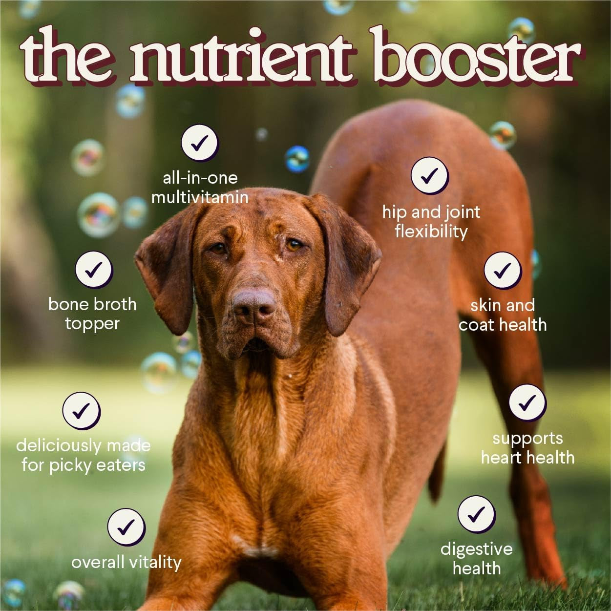 premium-dog-gravy-food-topper-dog-food-topper-for-dry-food-wet-food-picky-eaters-tasty-all-in-one-multivitamin-bone-broth-dog-gravy-with-vitamins-minerals-omegas-collagen-mushrooms-16oz