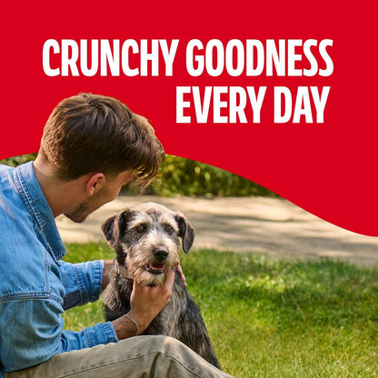 Milk-Bone Gravybones Dog Biscuits, Gravy Coated Small Dog Treats, 7 Lb. Box6