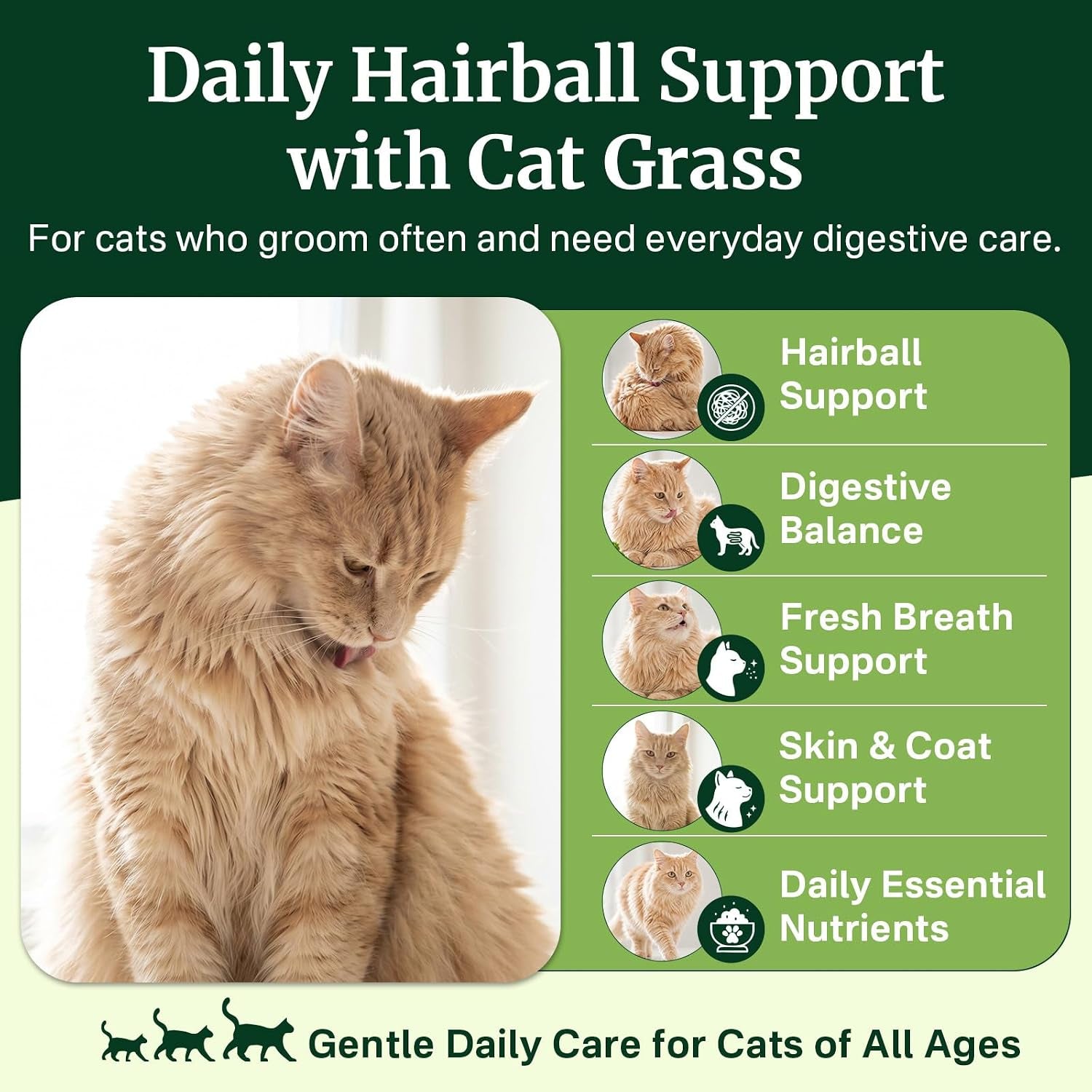 cat-grass-treats-chews-cat-treats-for-indoor-cats-500-hairball-treatment-for-cats-hairball-control-feline-grass-chews-with-fish-oil-taurine-b-vitamins-for-skin-coat-digestion-dental-care