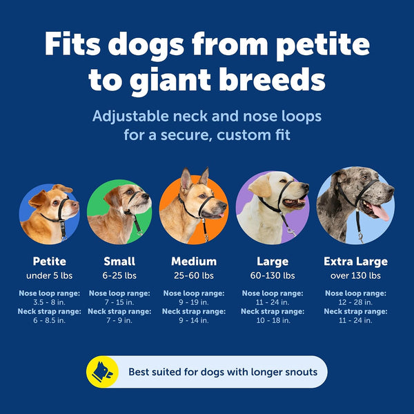 Petsafe Gentle Leader No Pull Dog Headcollar, Royal Blue, Medium | Veterinary Behaviorist-Designed No-Pull Headcollar Redirects Pulling Instinct, Padded Neoprene Nose Loop, Quick-Snap Fit5