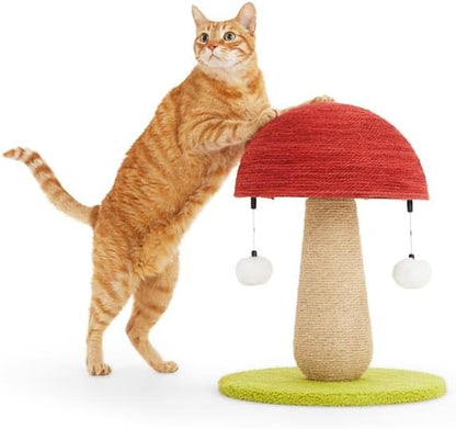 Everyyay by Petco Toadstool Scratch Post for Cats3
