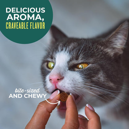 Tiki Cat Soft & Chewy Treats, Tuna Flavor, 3 Calories per Treat with Grain-Free and No Added Gluten, 6 Oz Pouch (Pack of 1)6